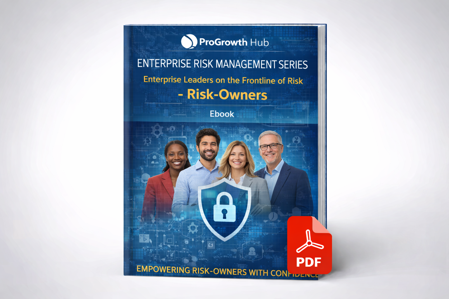 Enterprise Risk Management Series – Risk Owners